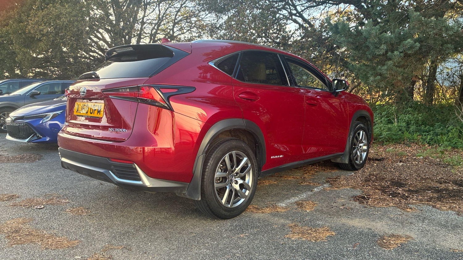 Used Lexus NX 2020 for sale - 76898549: Photo 10
