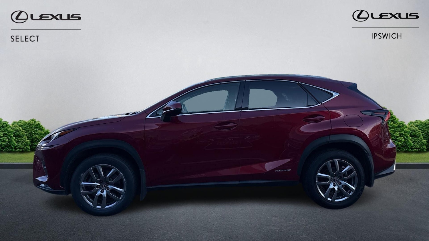 Used Lexus NX 2020 for sale - 76898549: Photo 7