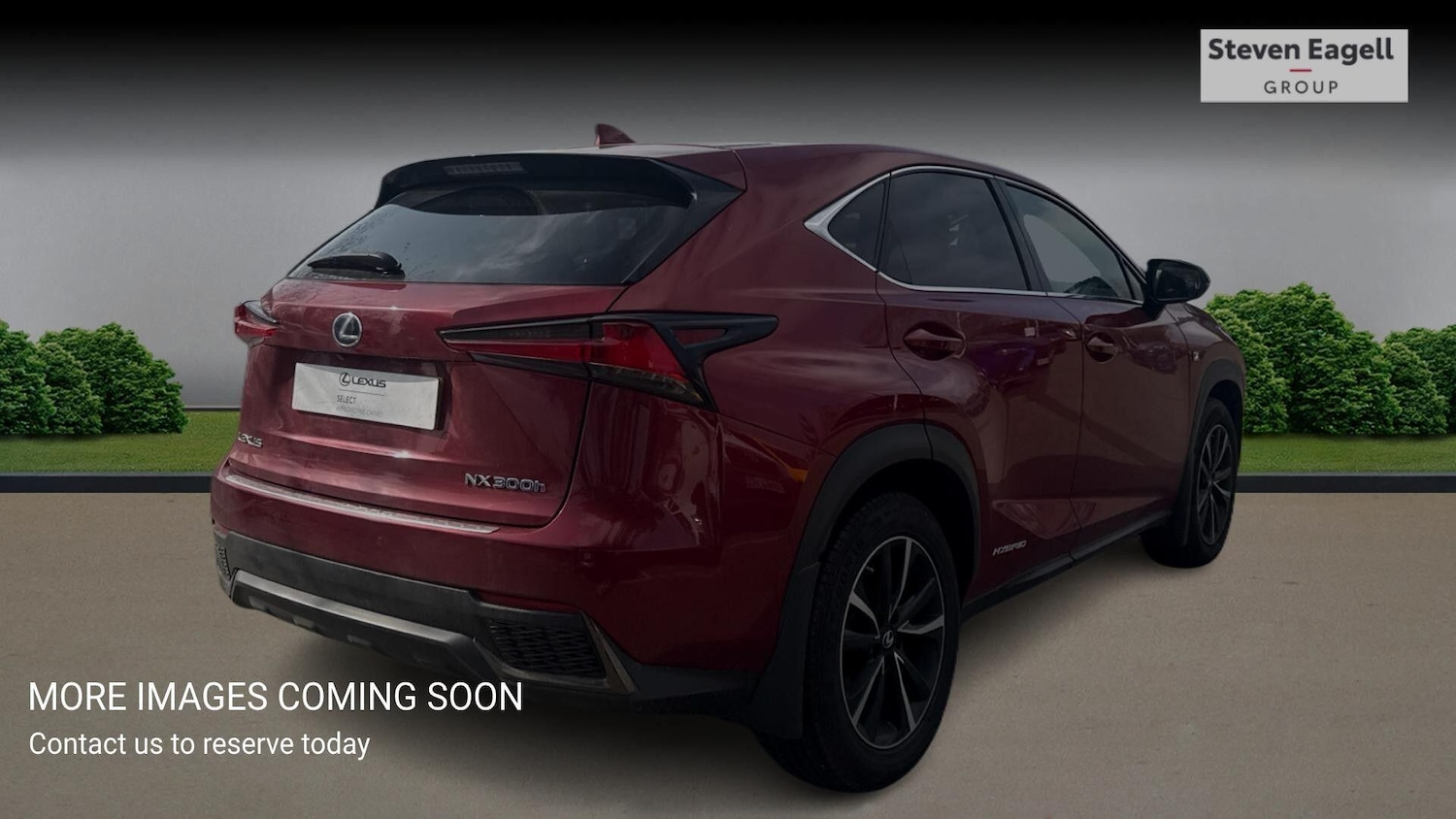 Used Lexus NX for sale - 78006850: Photo 6