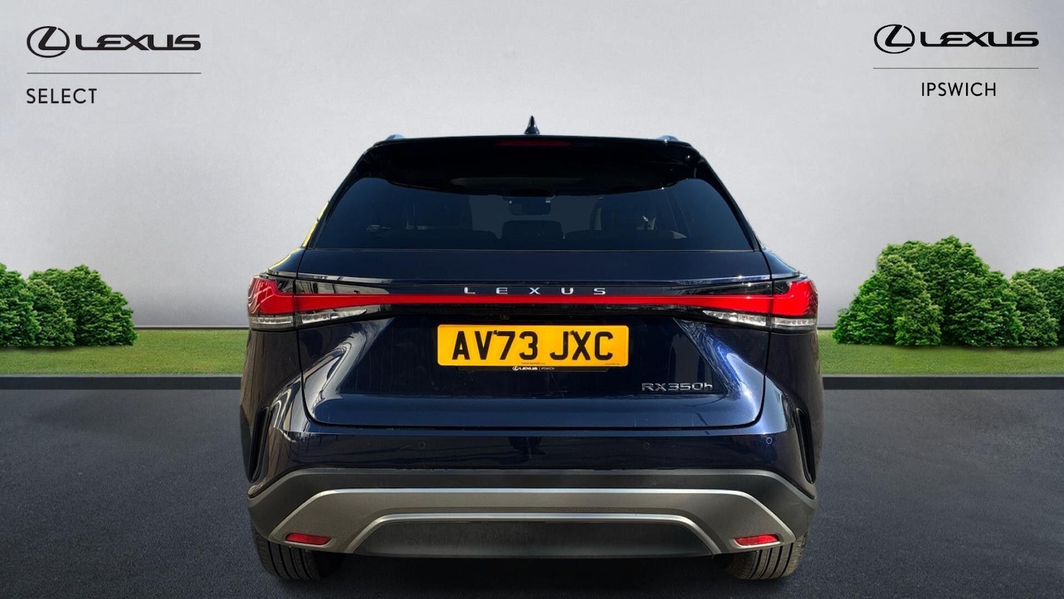 Used Lexus RX 2023 for sale - 77799473: Photo 7