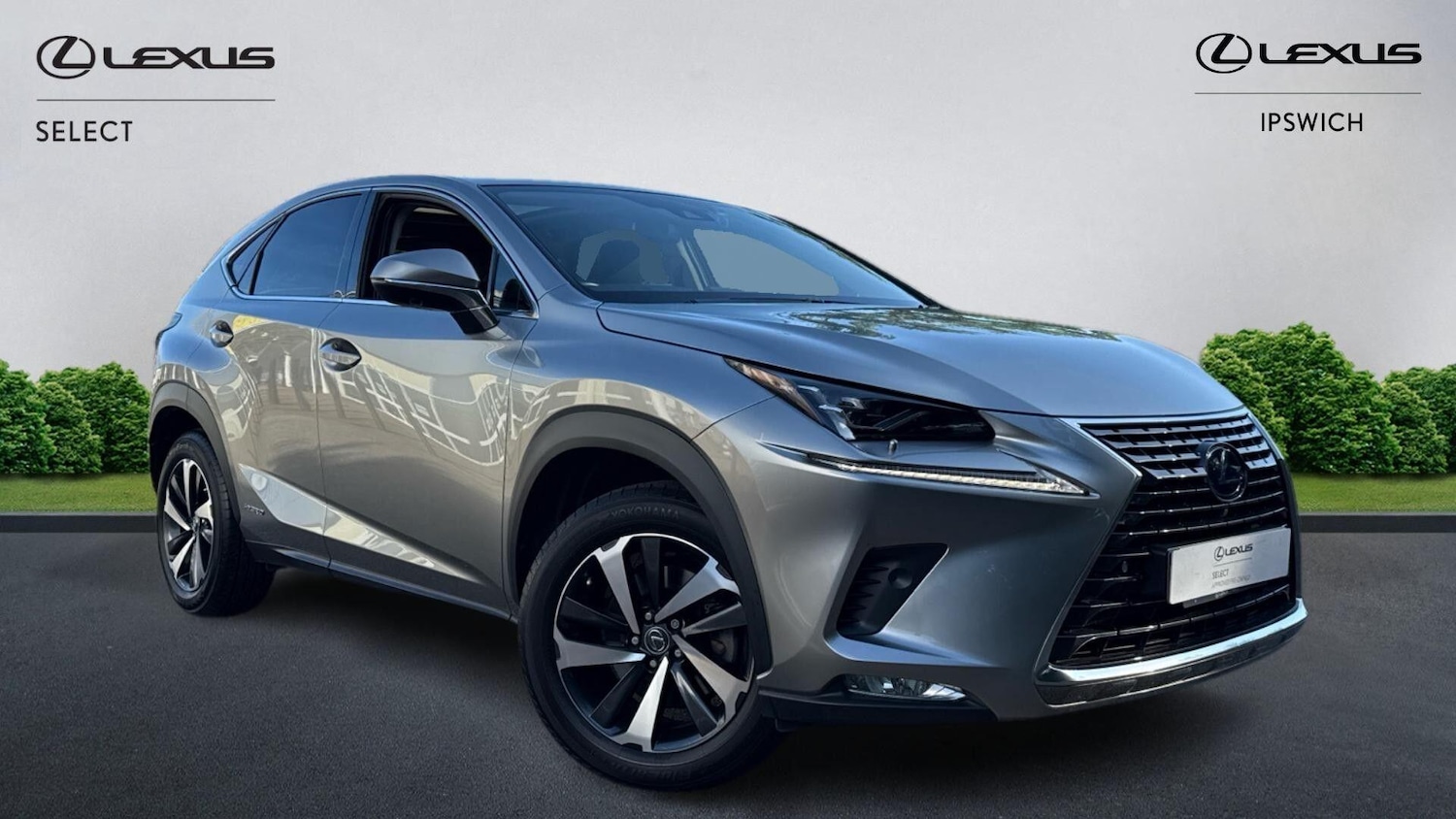 Used Lexus NX 2021 for sale - 76912647: Photo 1