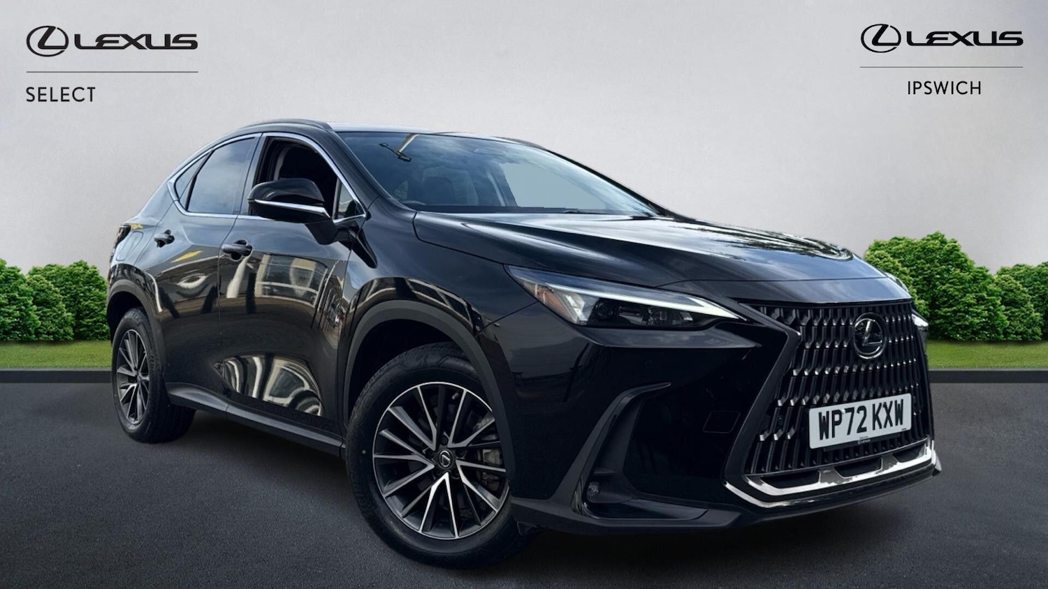 Used Lexus NX 2022 for sale - 76072890: Photo 1