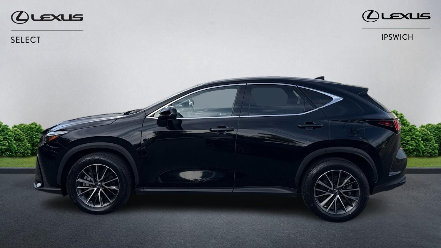 Used Lexus NX 2022 for sale - 76072890: Photo 5
