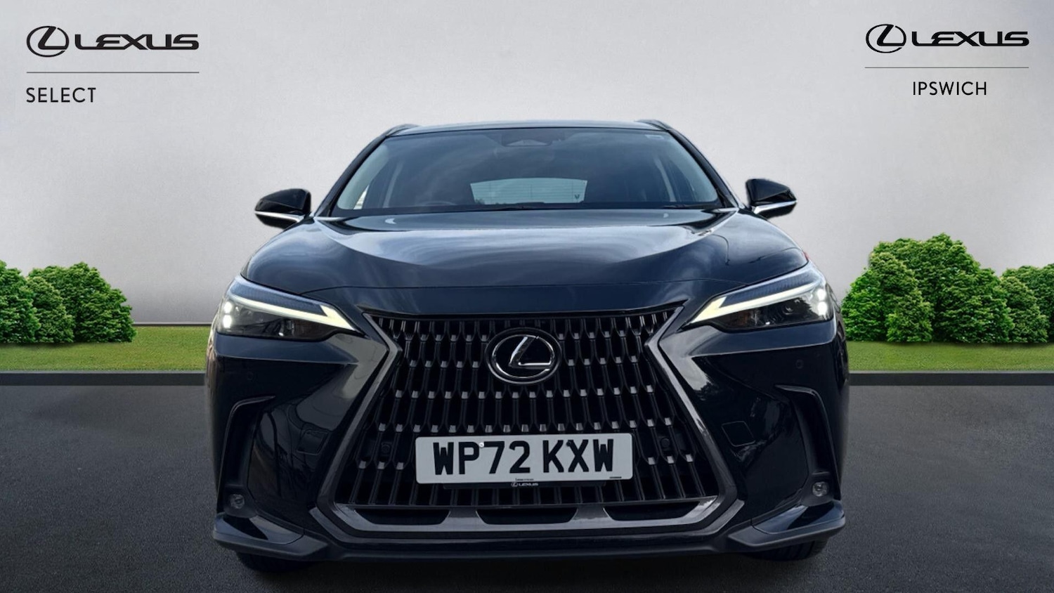 Used Lexus NX 2022 for sale - 76072890: Photo 6