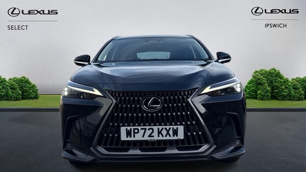 Used Lexus NX 2022 for sale - 76072890: Photo 6