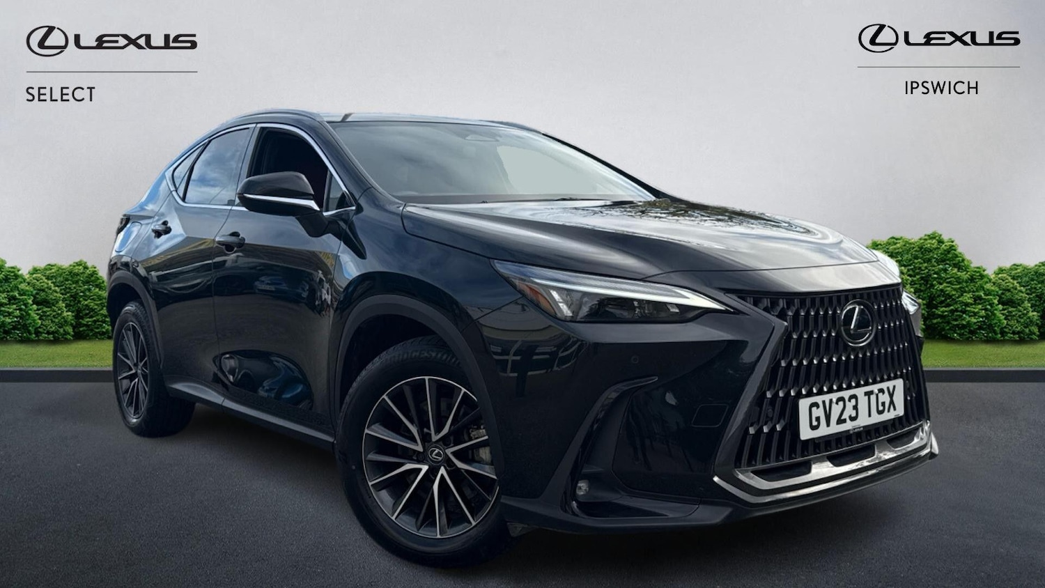 Used Lexus NX 2023 for sale - 76912682: Photo 1