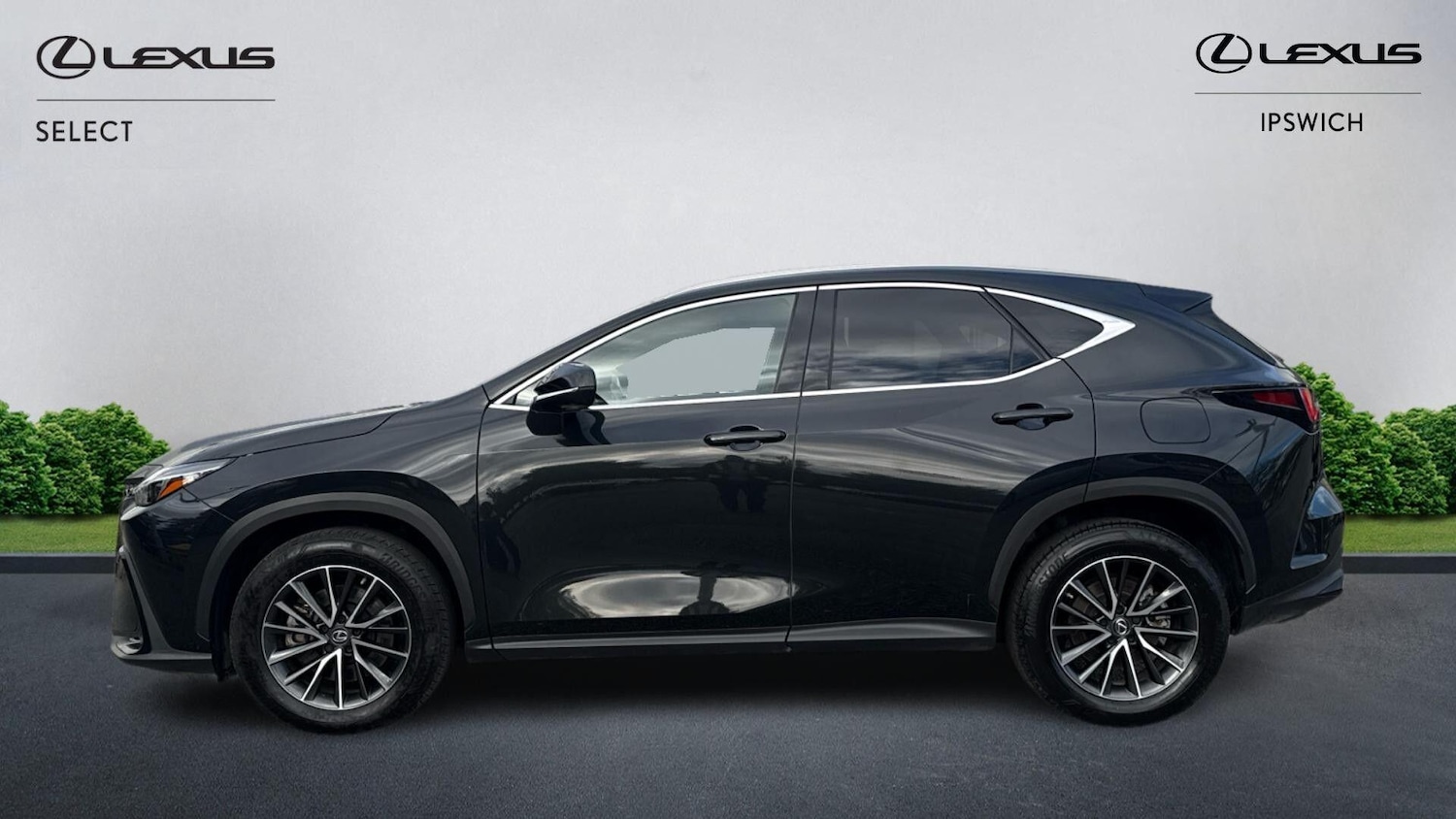 Used Lexus NX 2023 for sale - 76912682: Photo 5