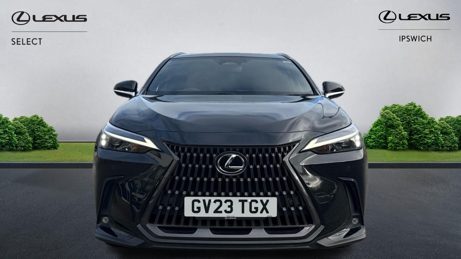 Used Lexus NX 2023 for sale - 76912682: Photo 6