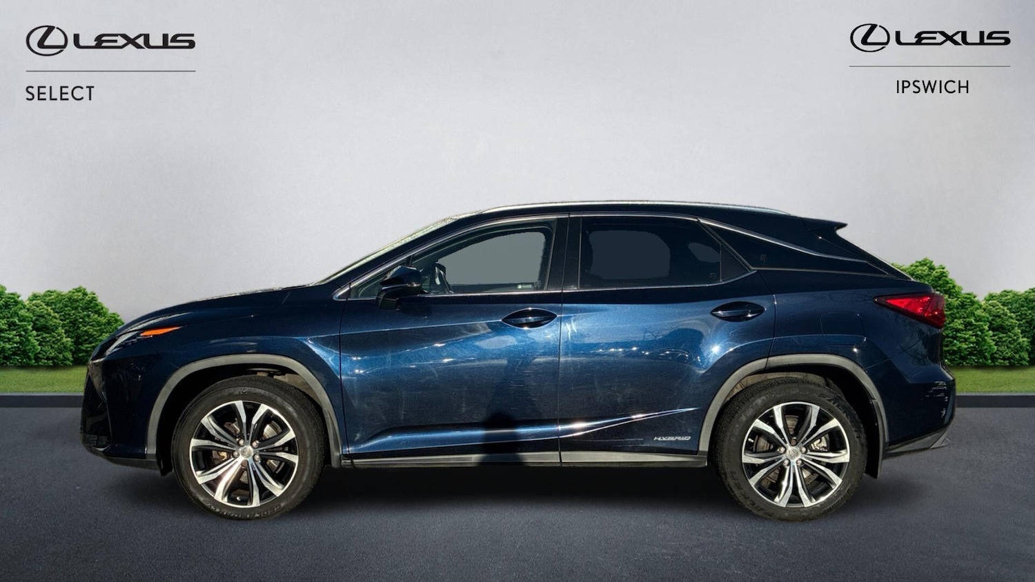 Used Lexus RX 2016 for sale - 76800784: Photo 6