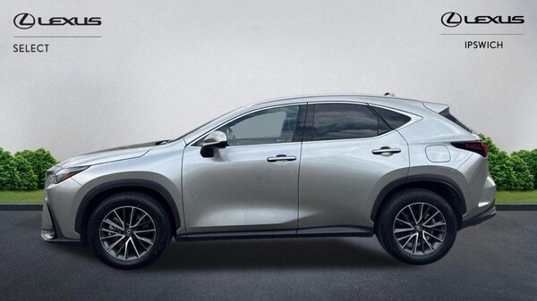 Used Lexus NX 2024 for sale - 74768048: Photo 5
