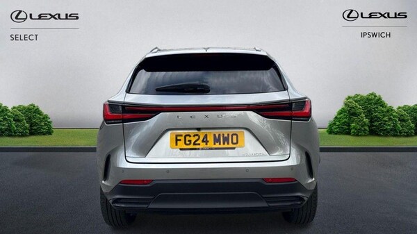 Used Lexus NX 2024 for sale - 74768048: Photo 7