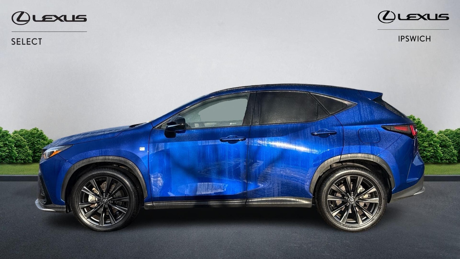 Used Lexus NX 2023 for sale - 77524786: Photo 6