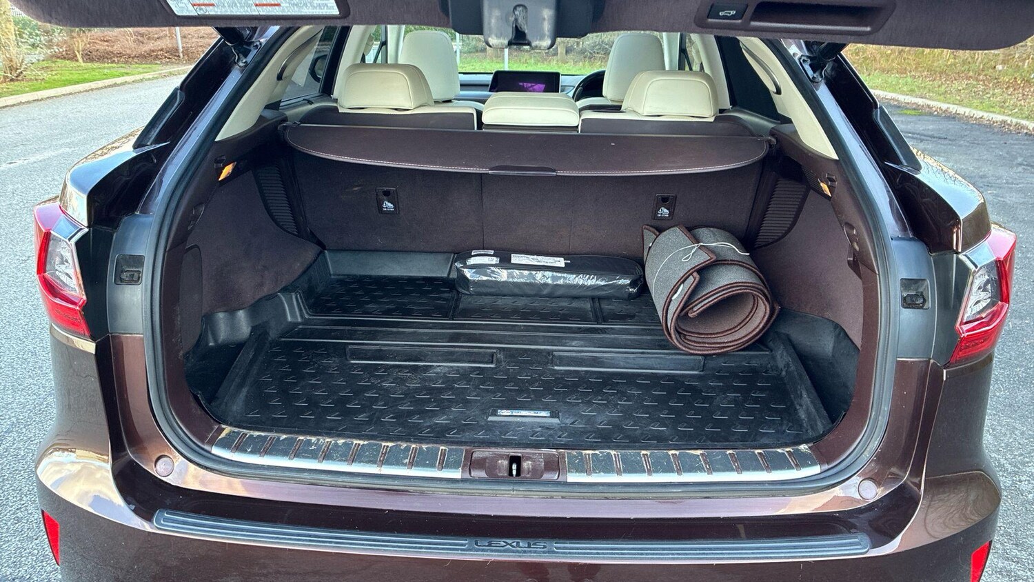 Used Lexus RX for sale - 77753417: Photo 17