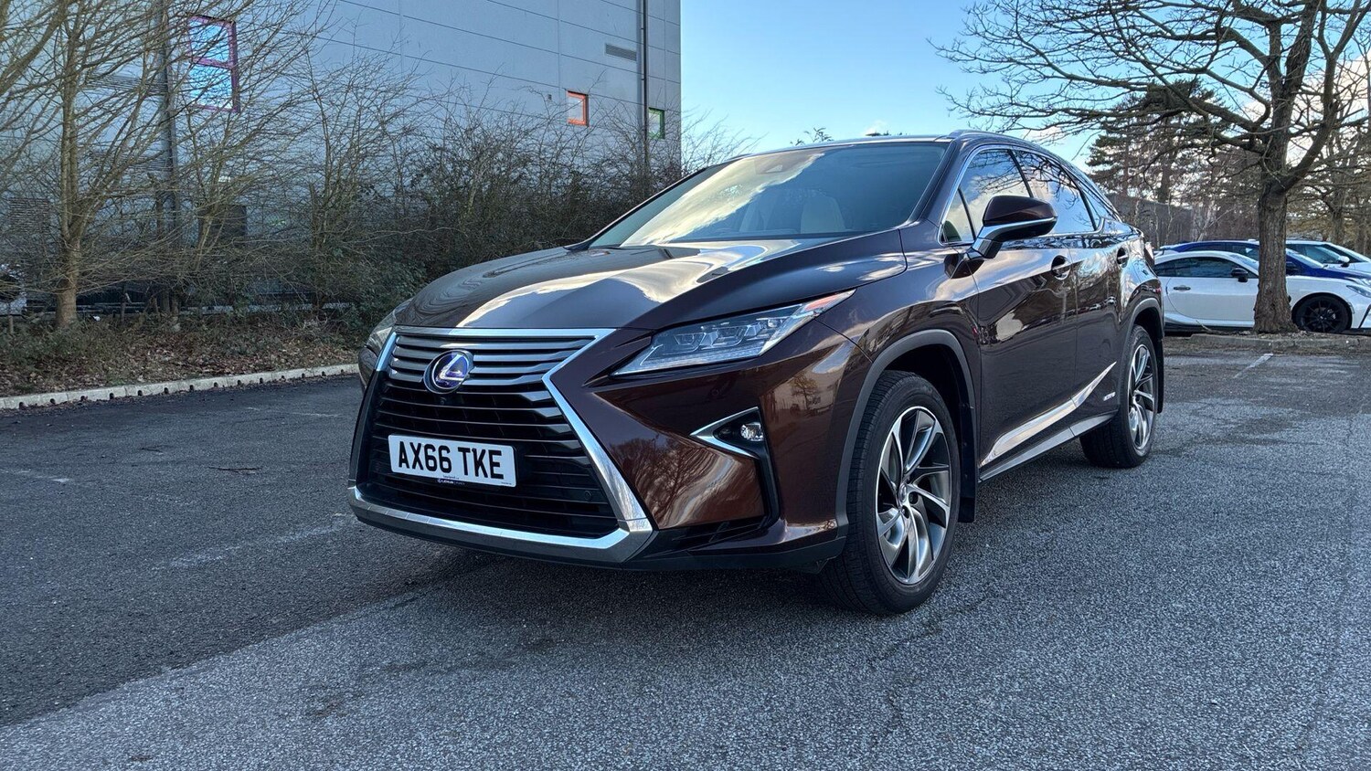 Used Lexus RX for sale - 77753417: Photo 19