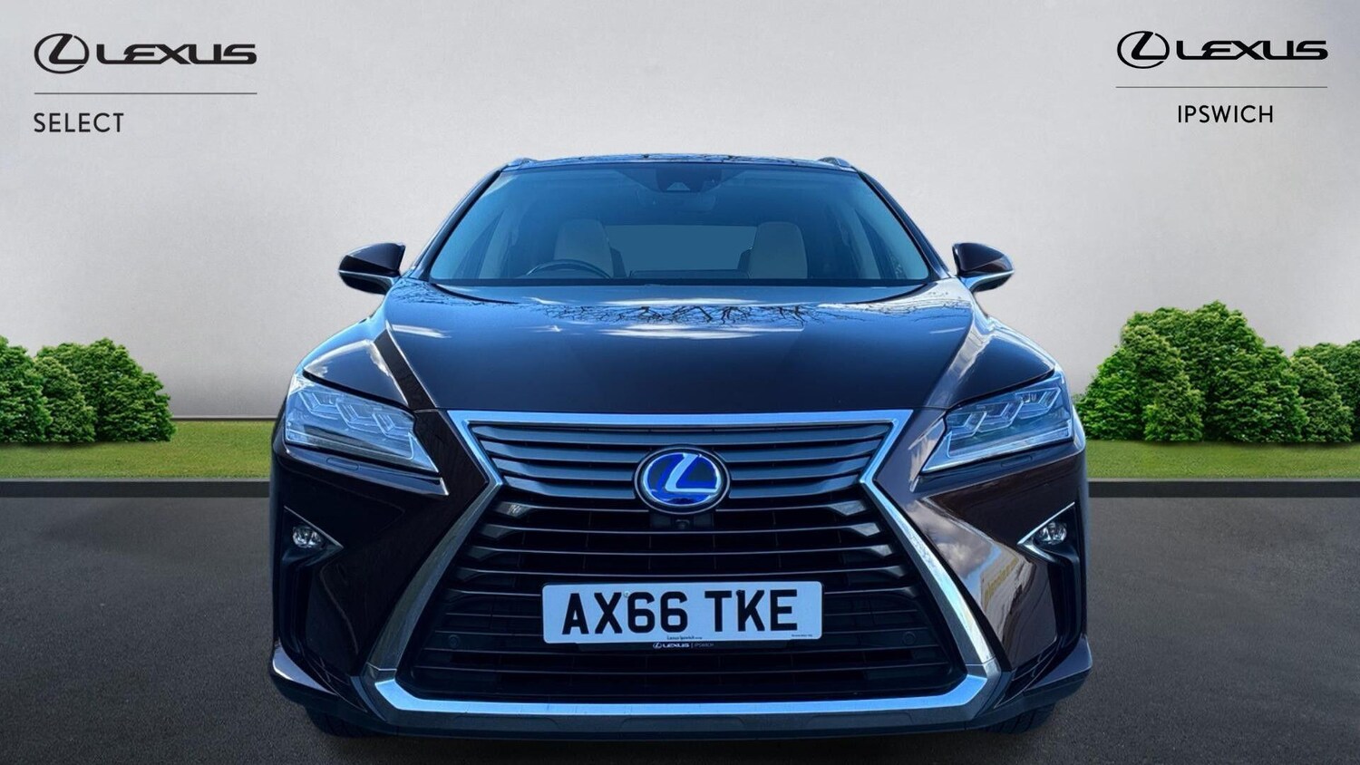 Used Lexus RX for sale - 77753417: Photo 6