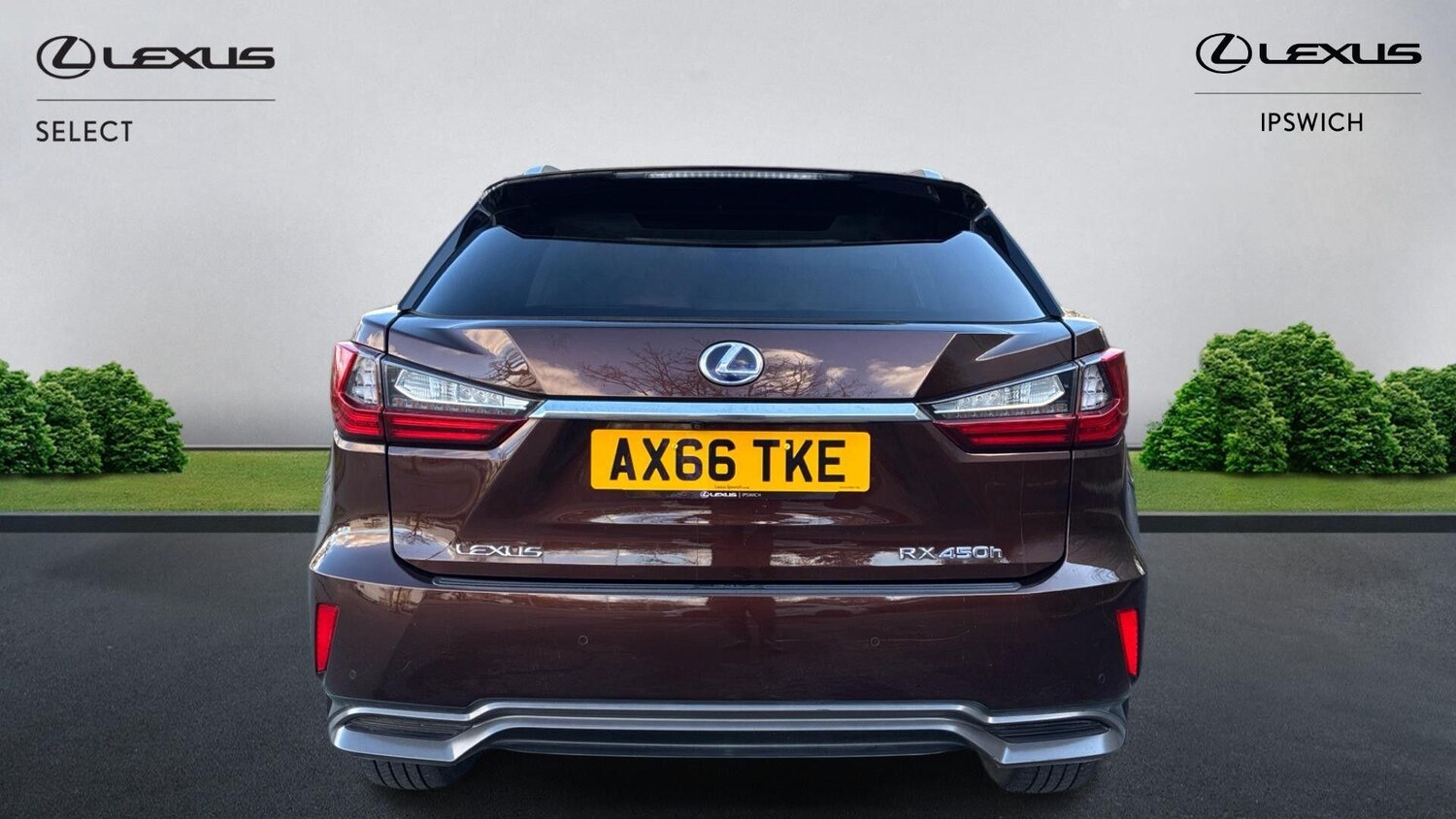 Used Lexus RX for sale - 77753417: Photo 7