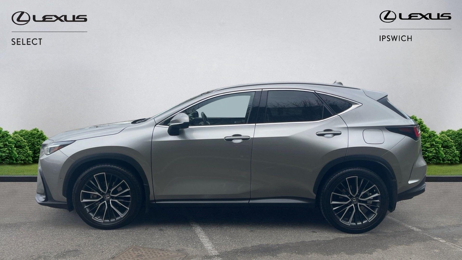 Used Lexus NX 2023 for sale - 77525151: Photo 3