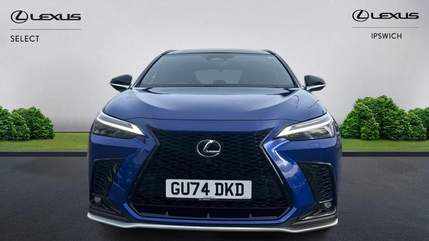 Used Lexus NX for sale - 77808282: Photo 6