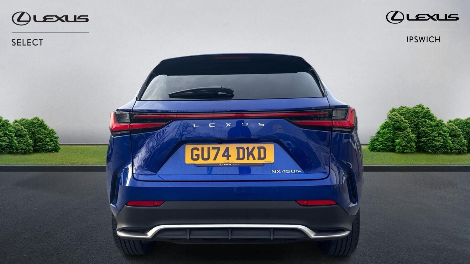 Used Lexus NX for sale - 77808282: Photo 7