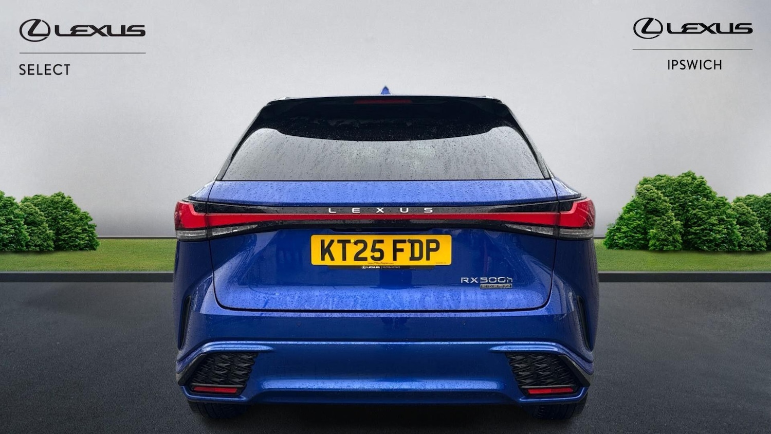 Used Lexus RX 2025 for sale - 77585738: Photo 7