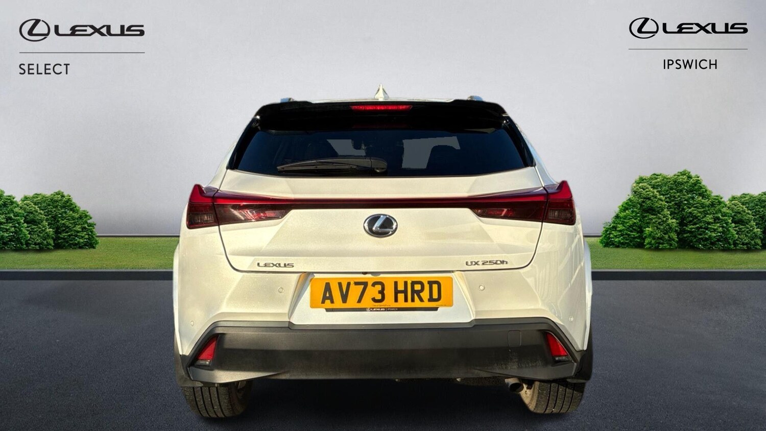 Used Lexus UX 2023 for sale - 77215951: Photo 7