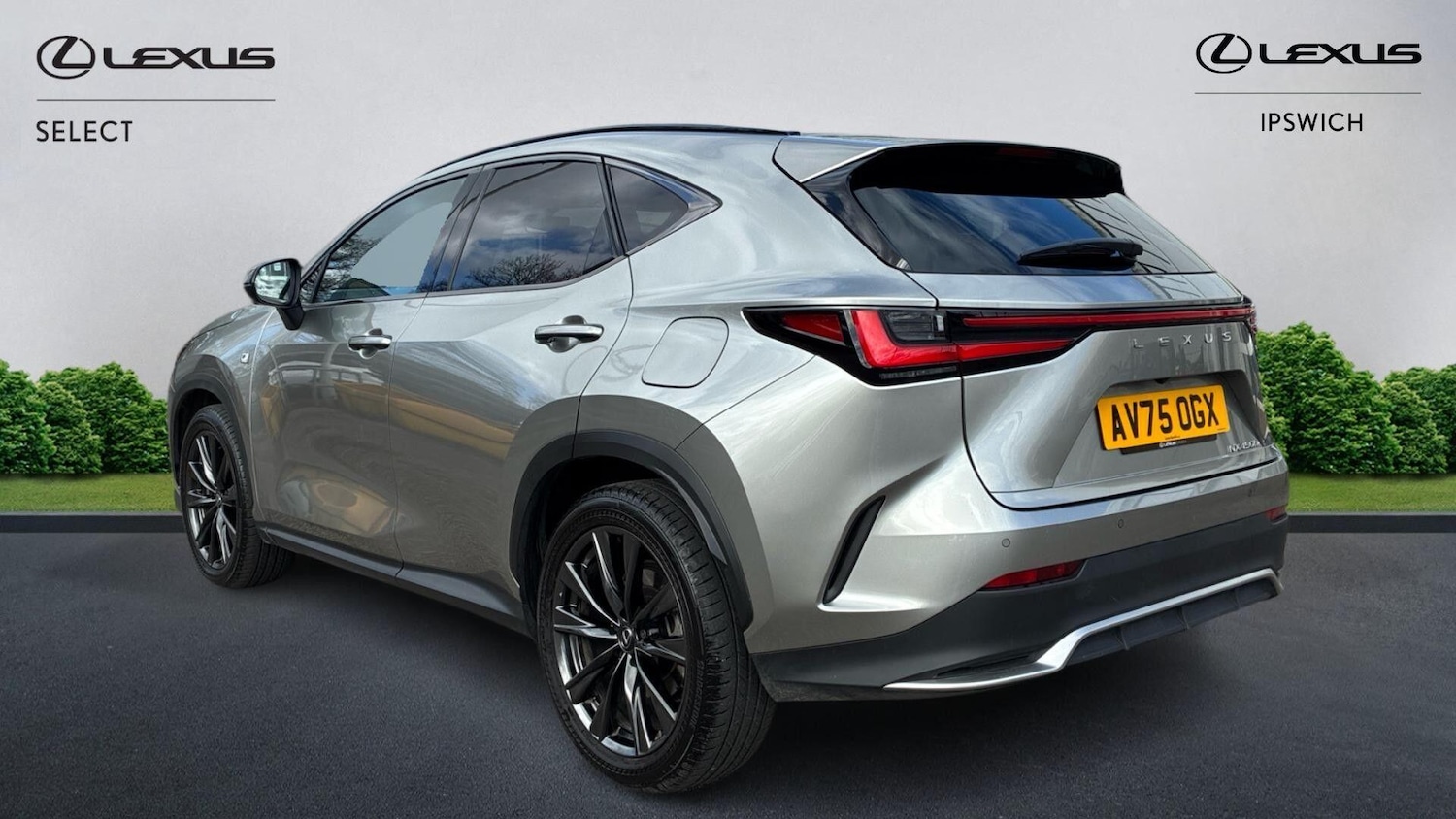 Used Lexus NX 2025 for sale - 77853137: Photo 2
