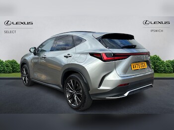 Used Lexus NX 2025 for sale - 77853137: Photo