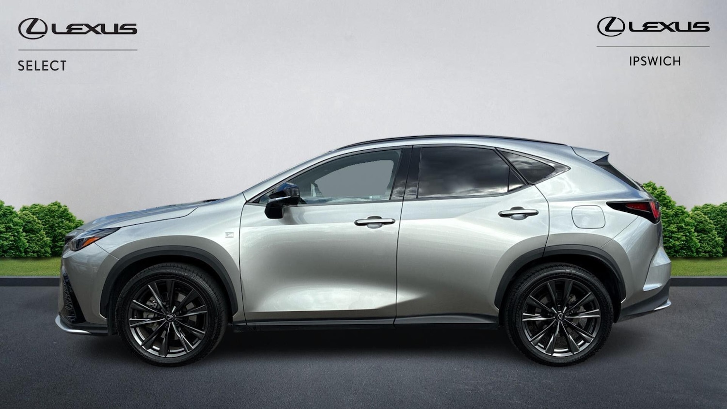 Used Lexus NX 2025 for sale - 77853137: Photo 3