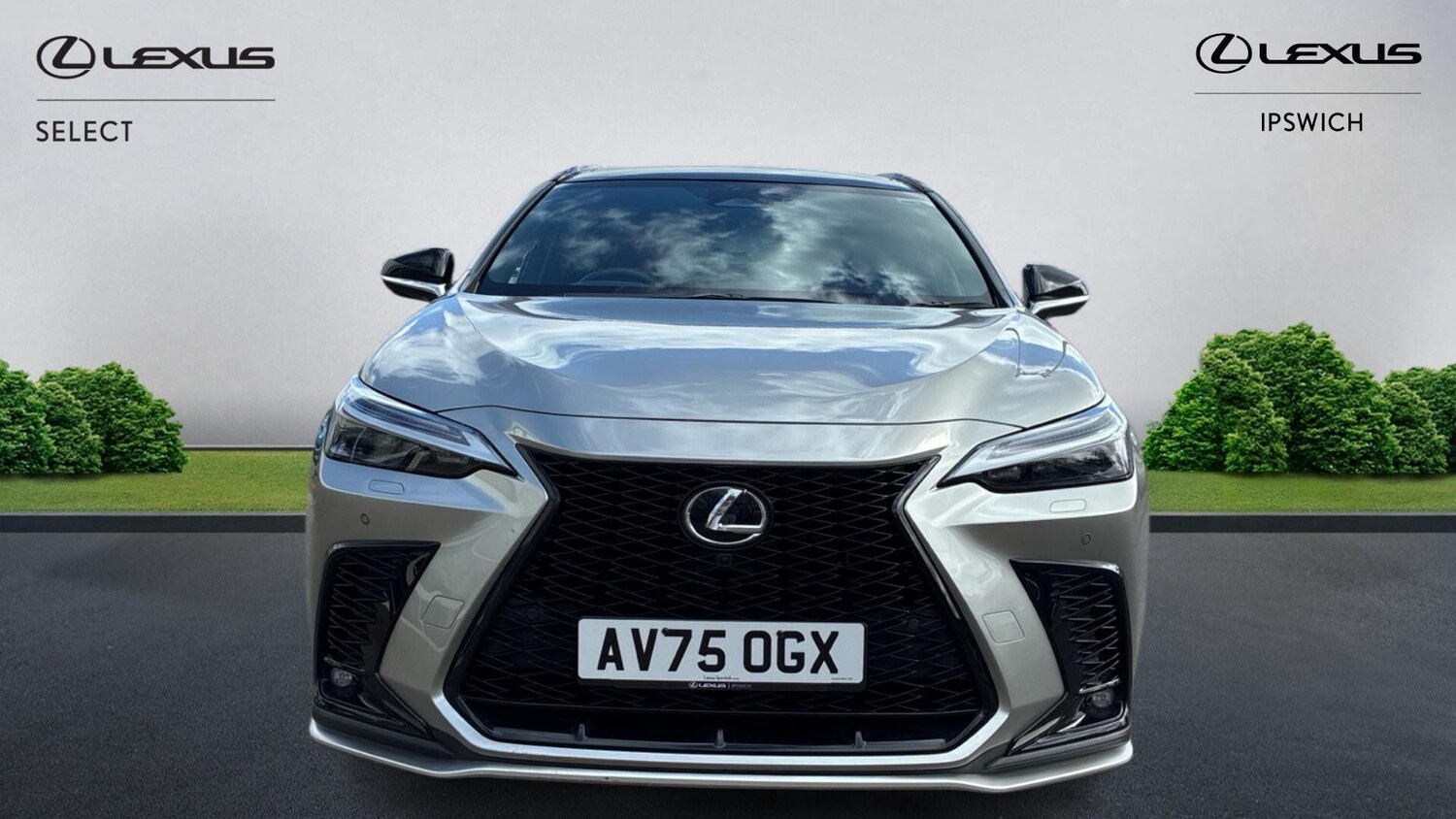Used Lexus NX 2025 for sale - 77853137: Photo 6