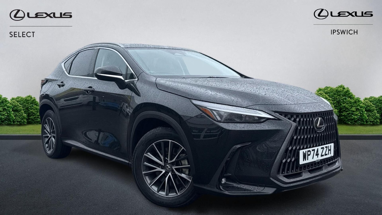 Used Lexus NX 2024 for sale - 77376864: Photo 1