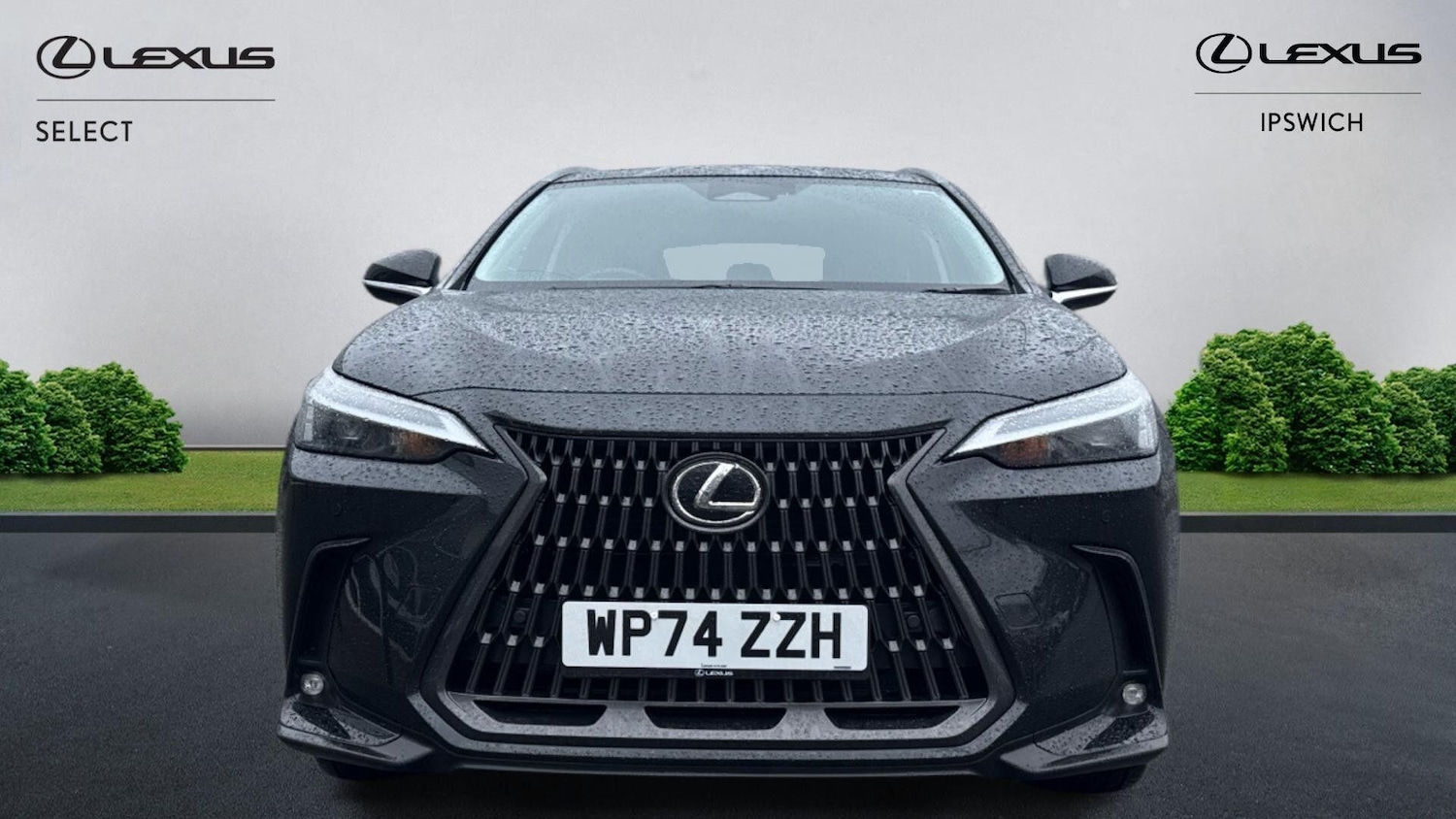 Used Lexus NX 2024 for sale - 77376864: Photo 2