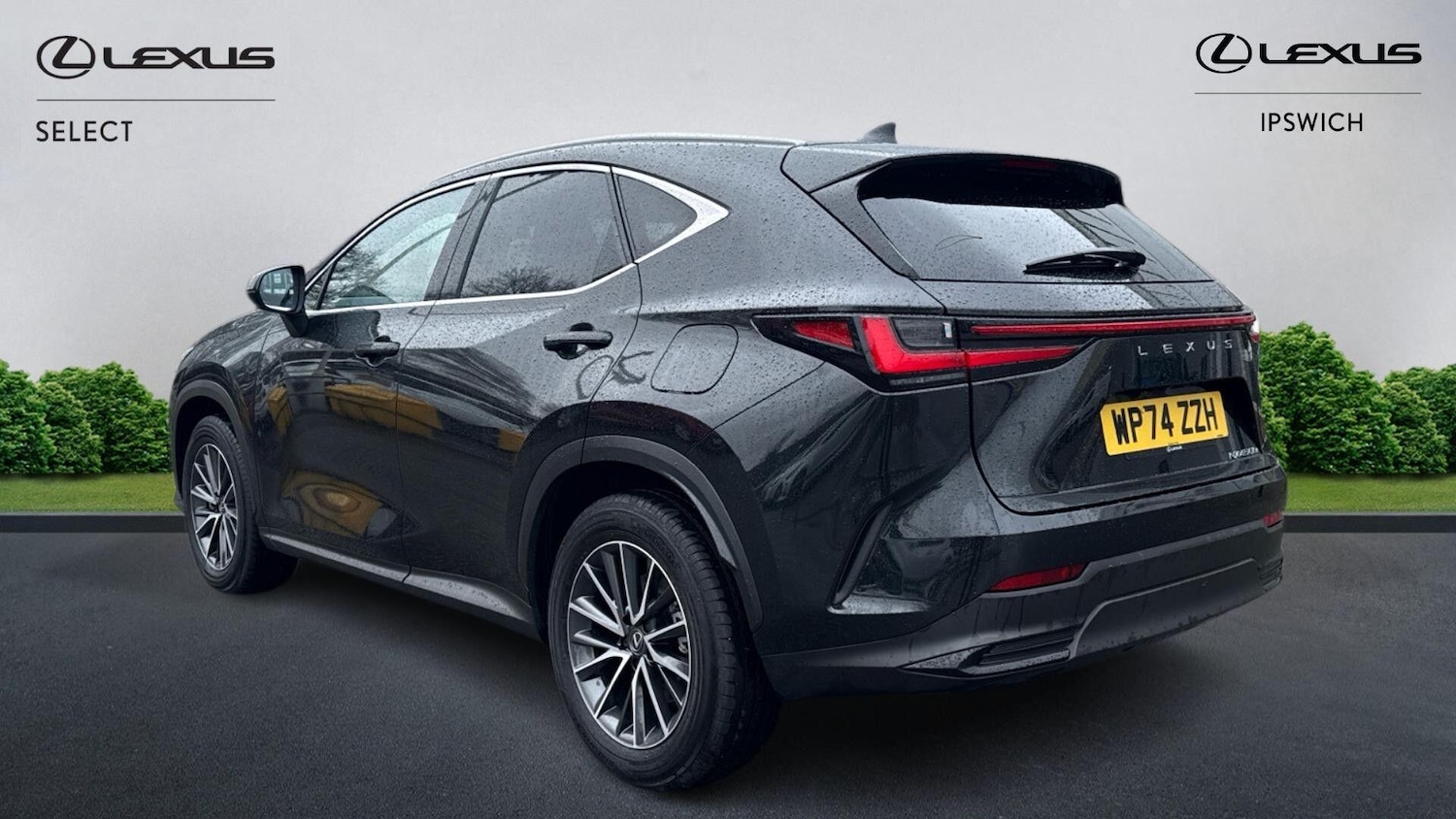 Used Lexus NX 2024 for sale - 77376864: Photo 5