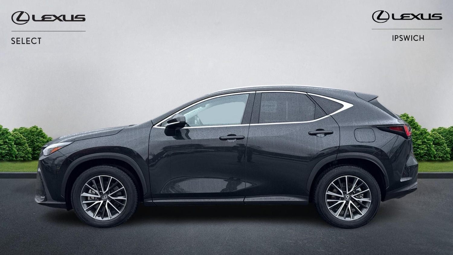 Used Lexus NX 2024 for sale - 77376864: Photo 6