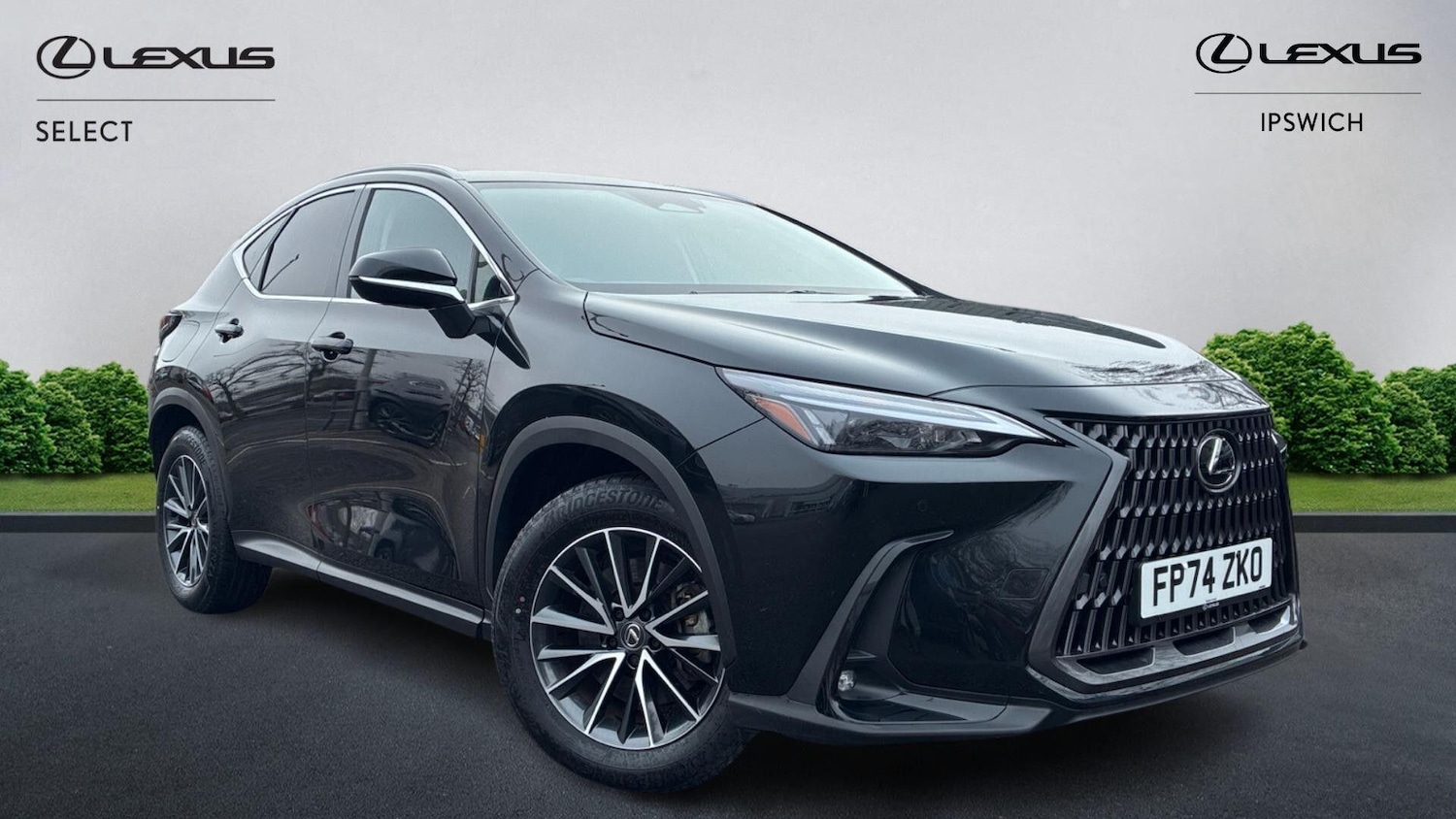 Used Lexus NX 2024 for sale - 77396703: Photo 1