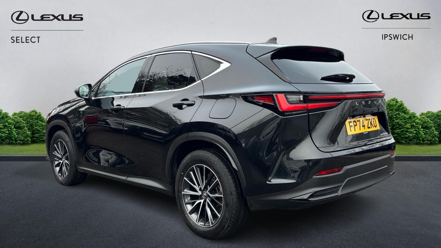 Used Lexus NX 2024 for sale - 77396703: Photo 2