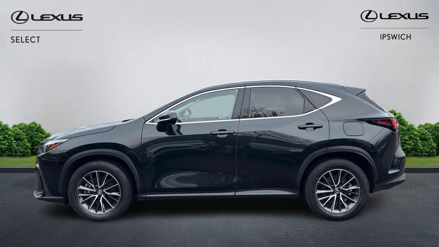 Used Lexus NX 2024 for sale - 77396703: Photo 3
