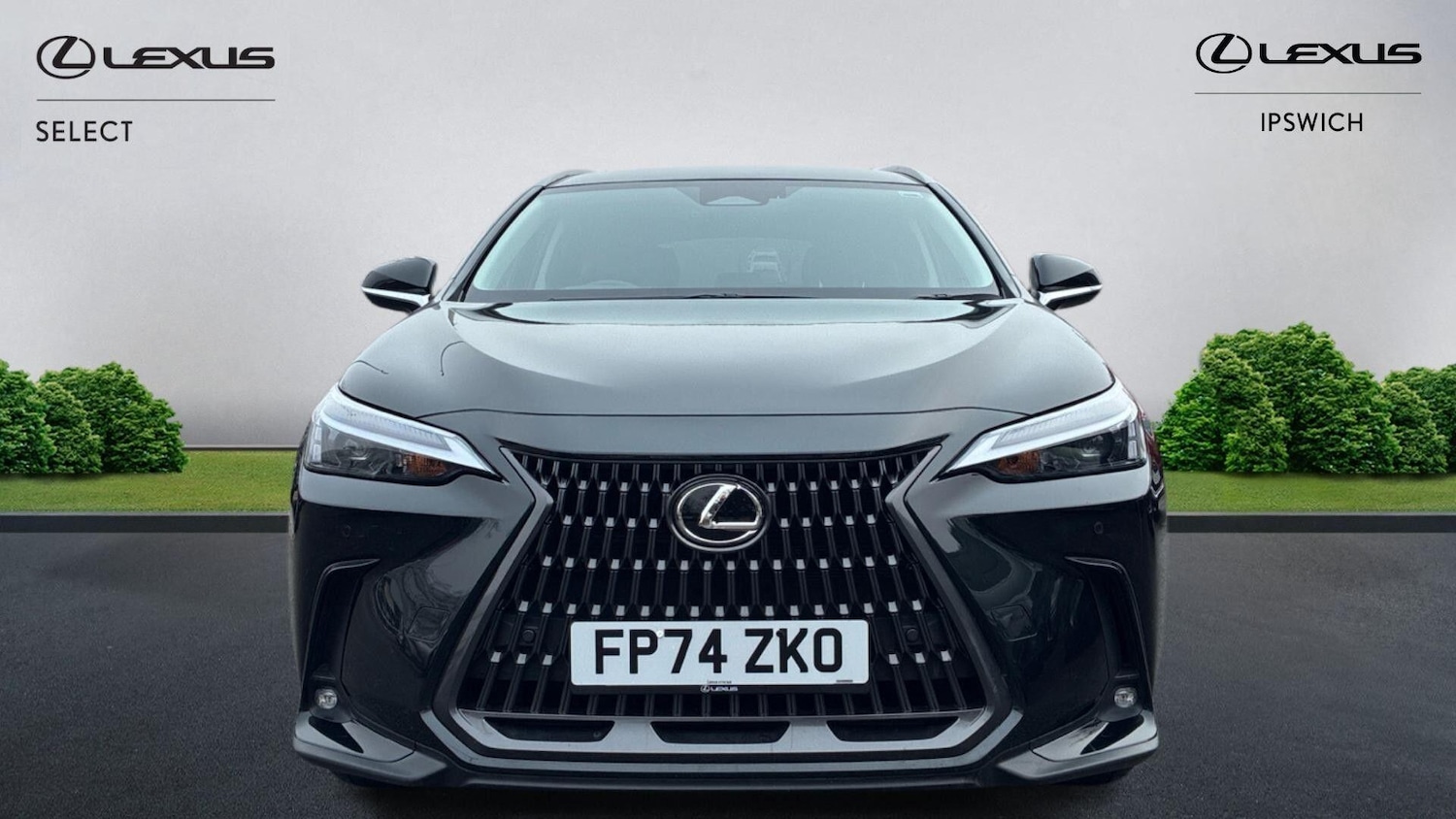 Used Lexus NX 2024 for sale - 77396703: Photo 6