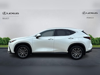 Used Lexus NX 2024 for sale - 79544374: Photo
