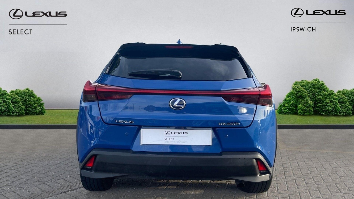 Used Lexus UX 2021 for sale - 77020916: Photo 7