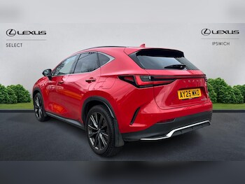 Used Lexus NX 2025 for sale - 77824589: Photo