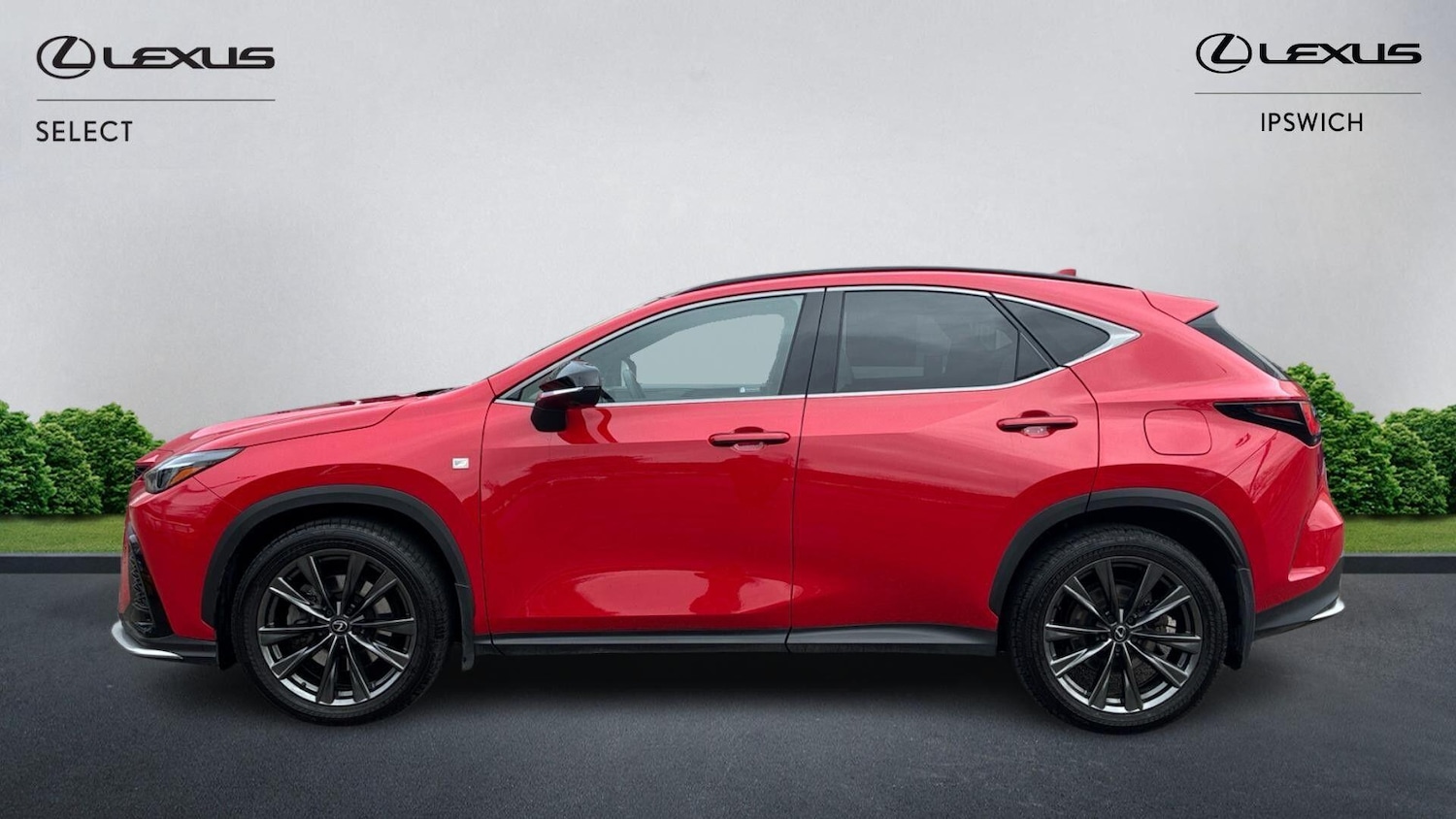 Used Lexus NX for sale - 77824589: Photo 3