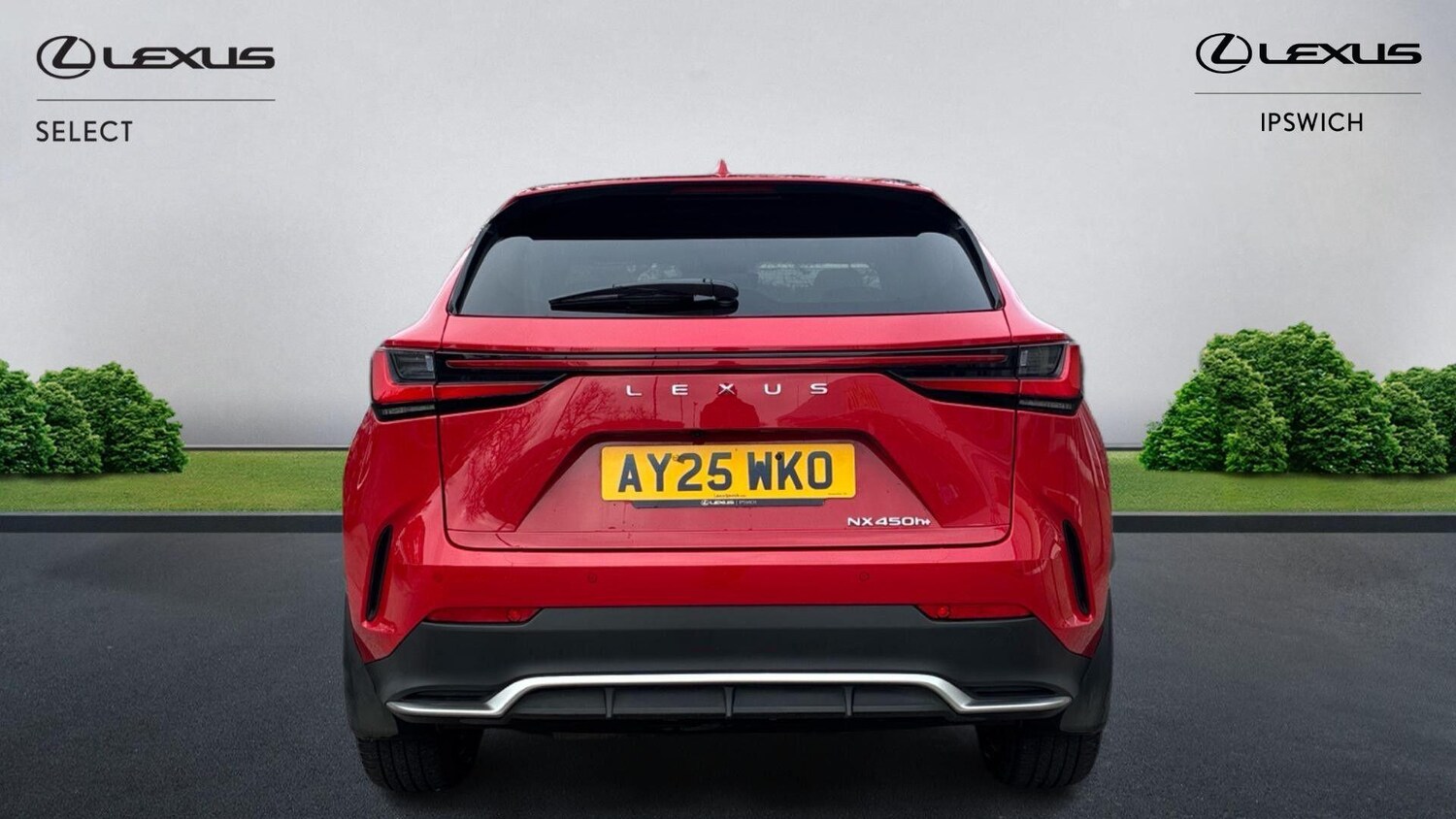 Used Lexus NX for sale - 77824589: Photo 7