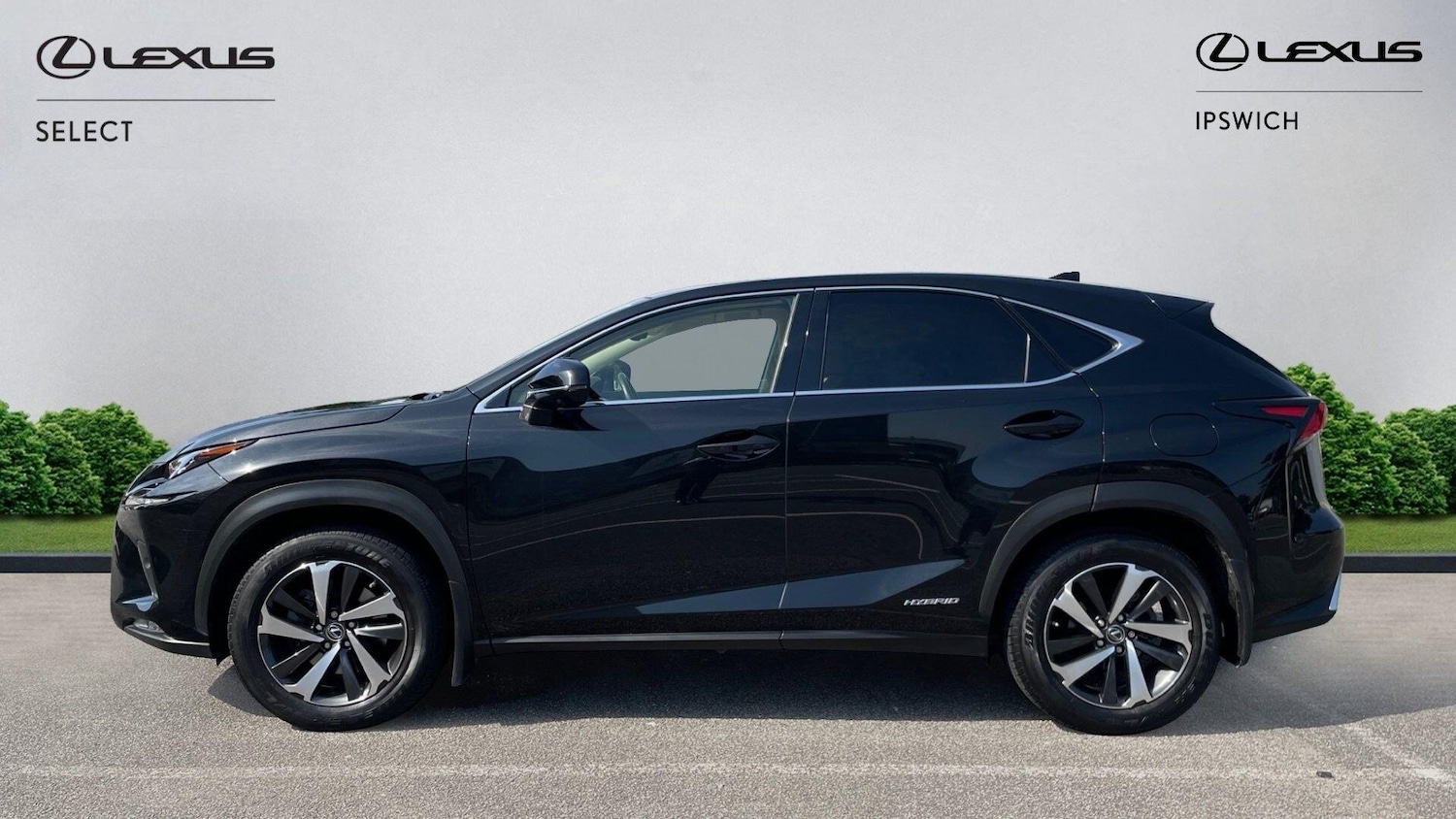 Used Lexus NX 2019 for sale - 78170808: Photo 3