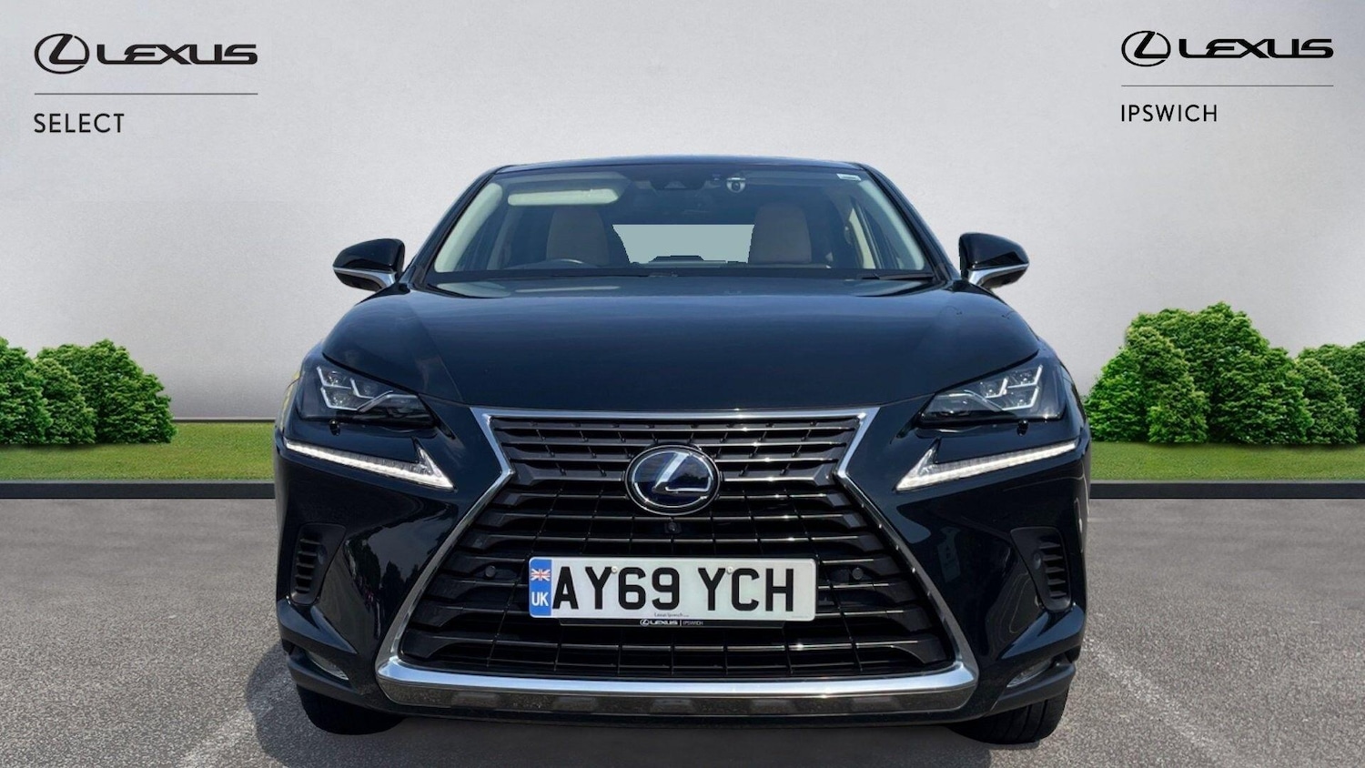 Used Lexus NX 2019 for sale - 78170808: Photo 6