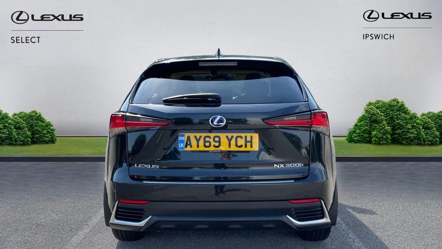 Used Lexus NX 2019 for sale - 78170808: Photo 7