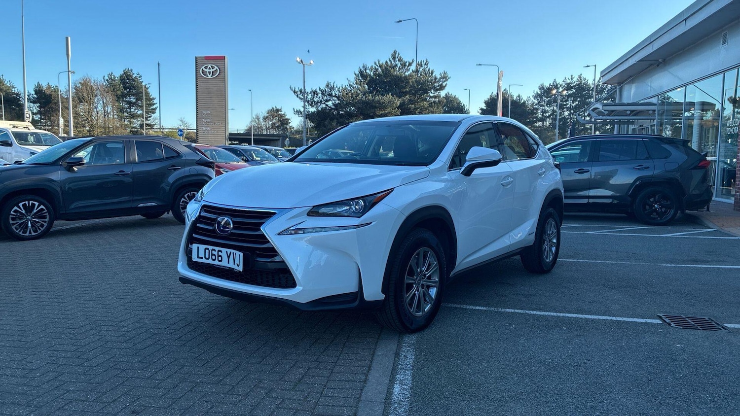 Used Lexus NX 2016 for sale - 77993021: Photo 19