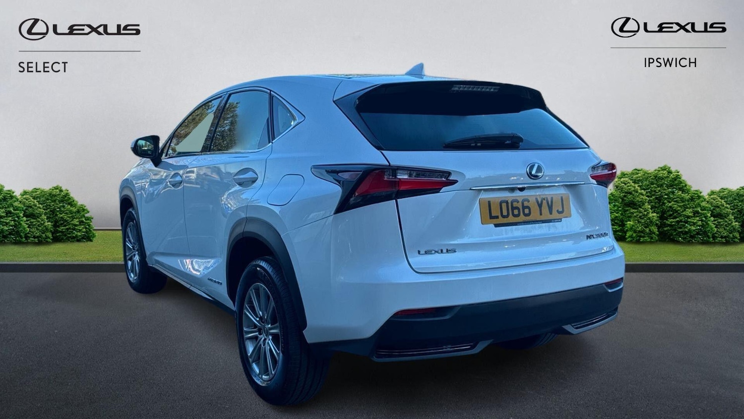 Used Lexus NX 2016 for sale - 77993021: Photo 2