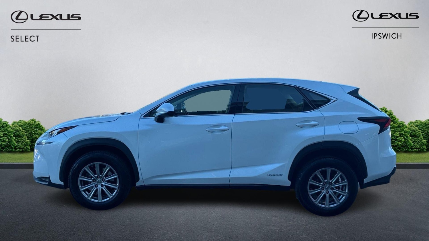 Used Lexus NX 2016 for sale - 77993021: Photo 3
