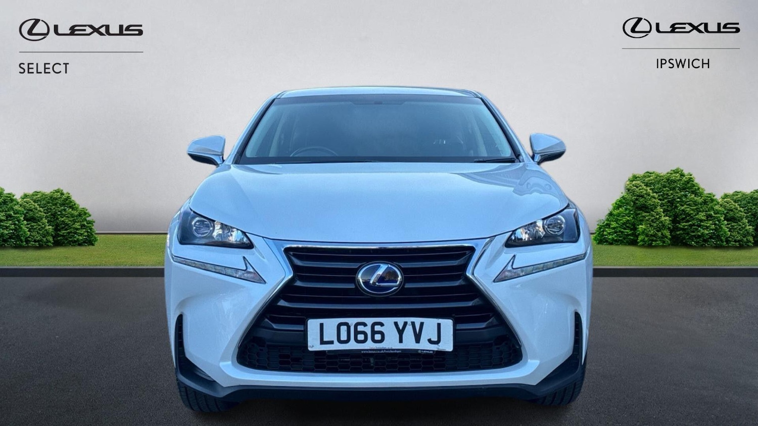 Used Lexus NX 2016 for sale - 77993021: Photo 6