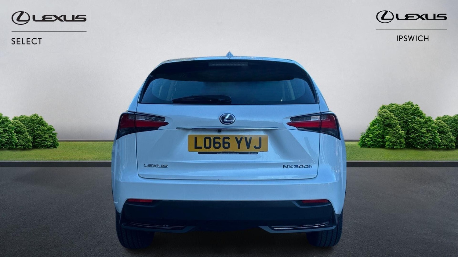 Used Lexus NX 2016 for sale - 77993021: Photo 7